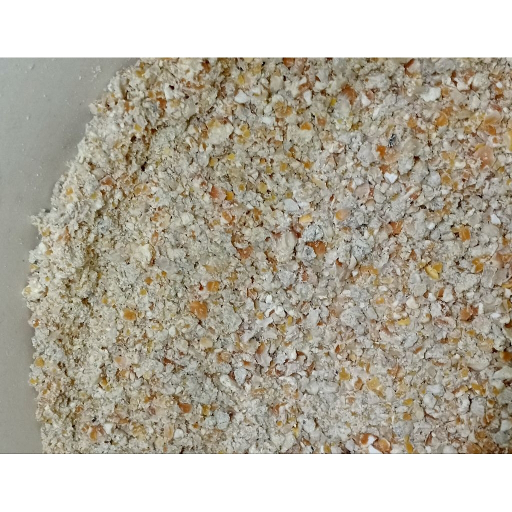 JAGUNG GILING KERING PAKAN TERNAK