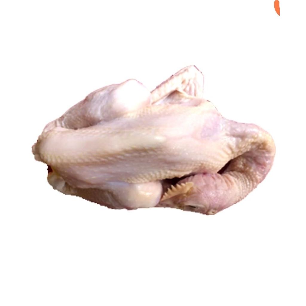 Ayam Pejantan Segar 1 Ekor