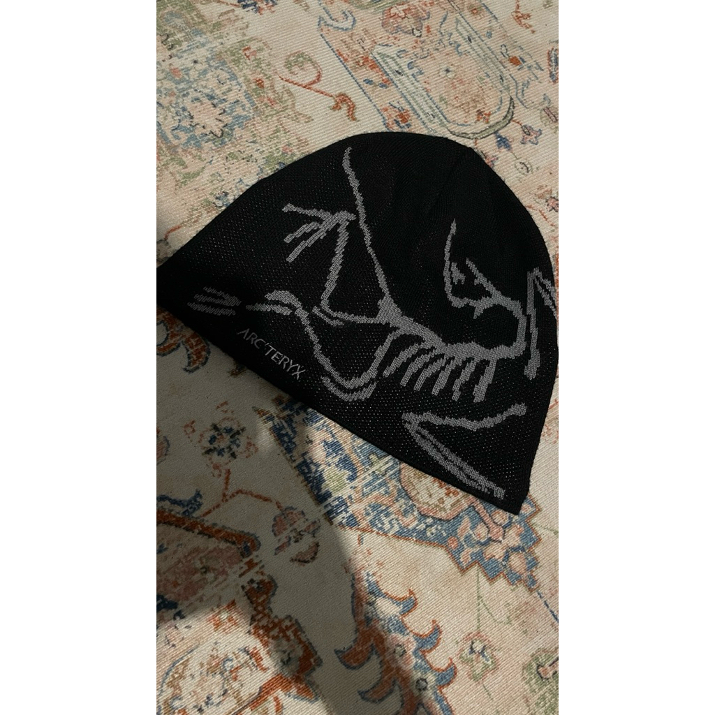 beanie hat arcteryx