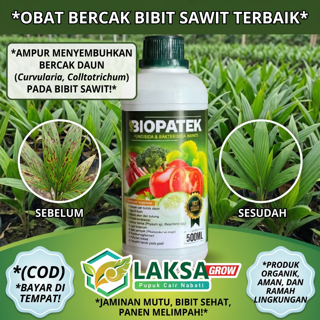 obat bercak bibit sawit, fungisida sawit ampuh, daun sawit bercak kuning, obat jamur bibit sawit, pu