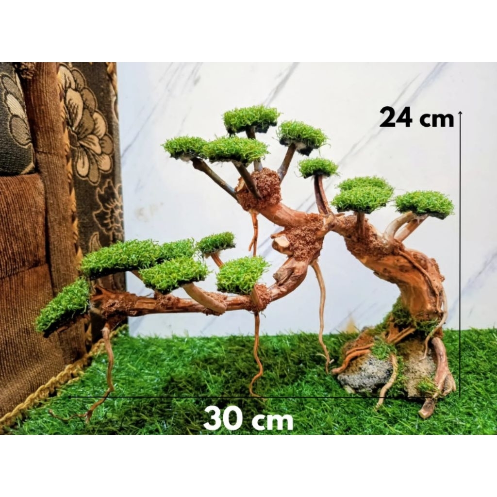 bonsai sintetis aquascape