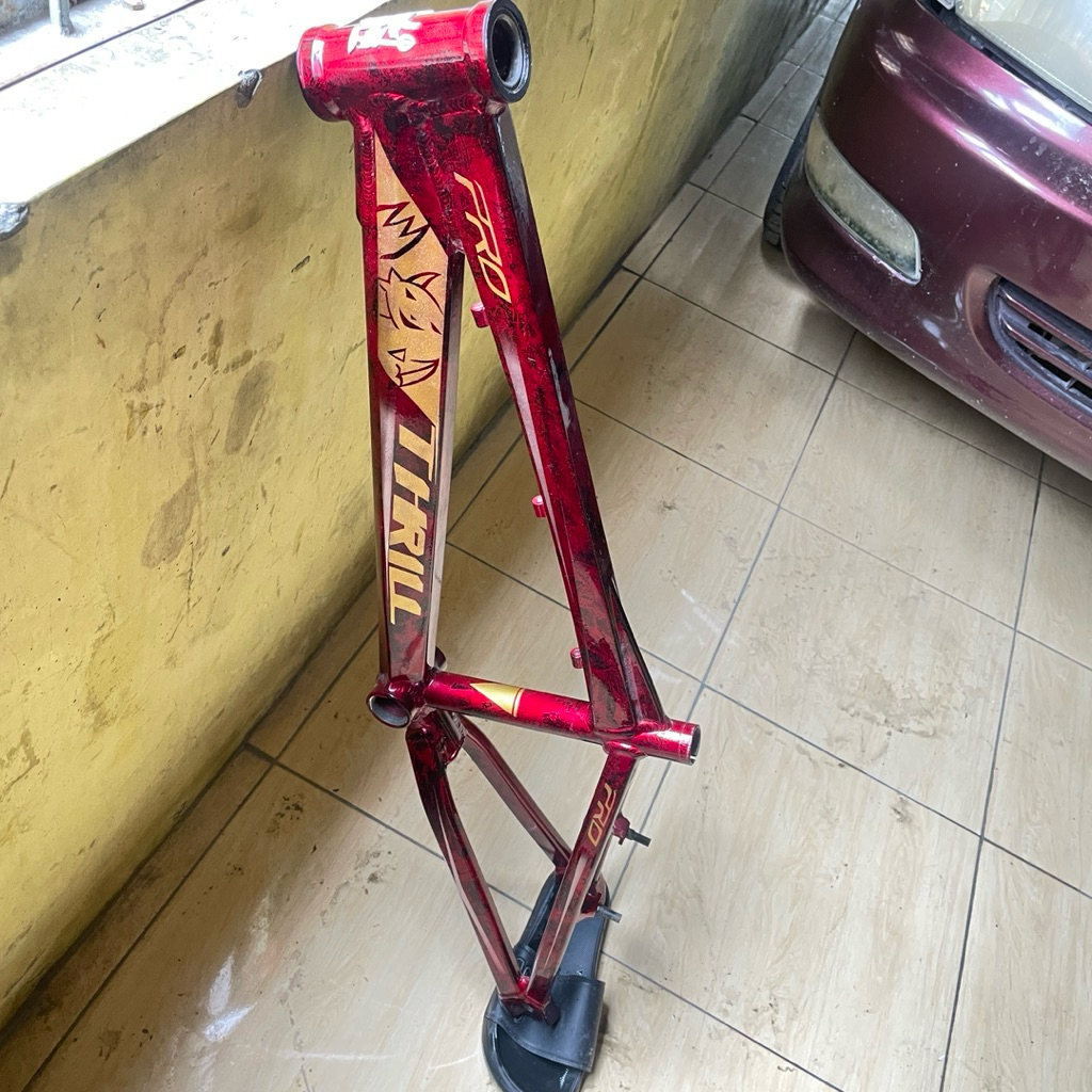 frame bmx thrill expert repaint