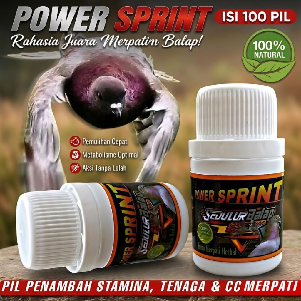 RAJA SPRINT JAMU MERPATI BALAP 100 Pil herbal Merpati Balap Jamu Liur Walet Extra Power Speed Perfec
