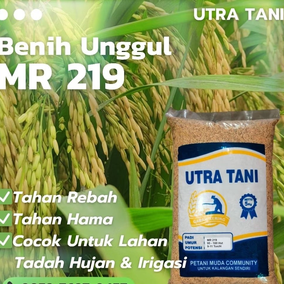 Benih padi Unggul MR 219 5Kg UTRA TANI bibit Mr219 Mr-219 5 kg