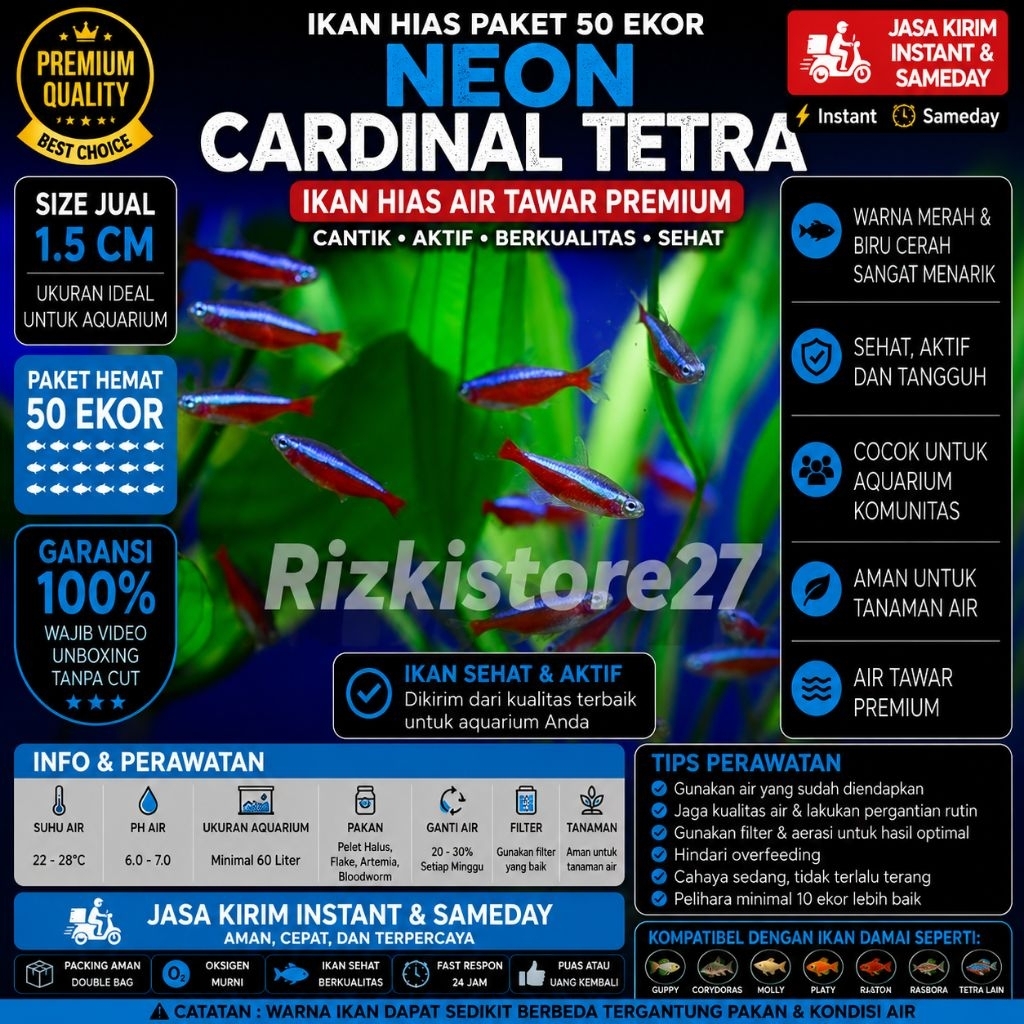 Paket 50 Ekor Neon Cardinal Tetra Size 1.5 Cm Ikan Hias Aquarium