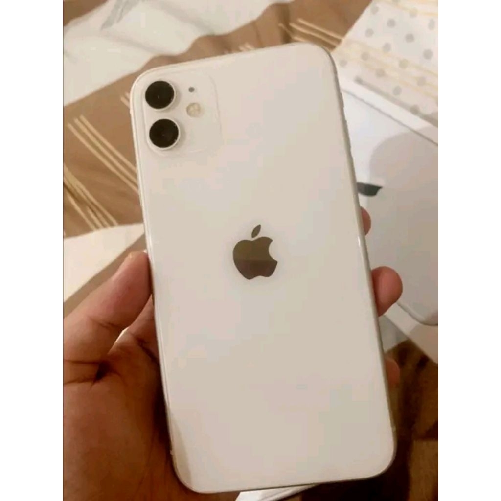 Iphone wifi only
