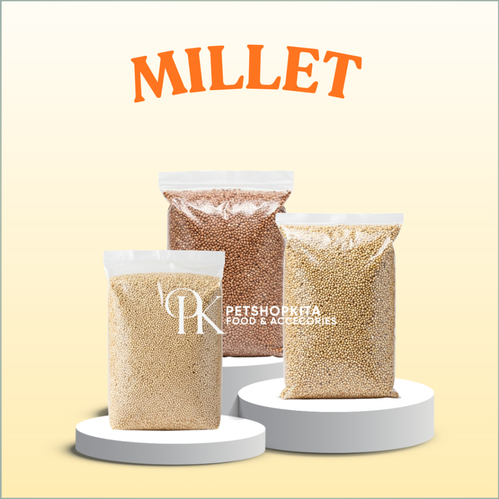 PAKAN BURUNG MILLET 1Kg