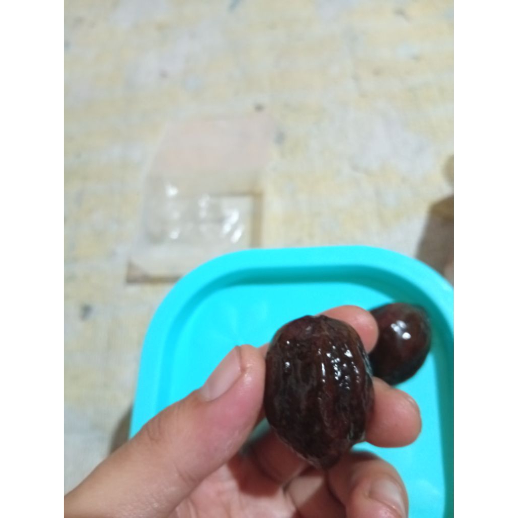 muncang adu jayanti jelita paguron siap adu ori
