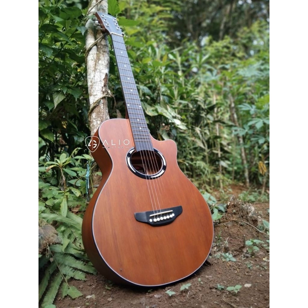 Gitar Yamaha Apx Ceper Fret20