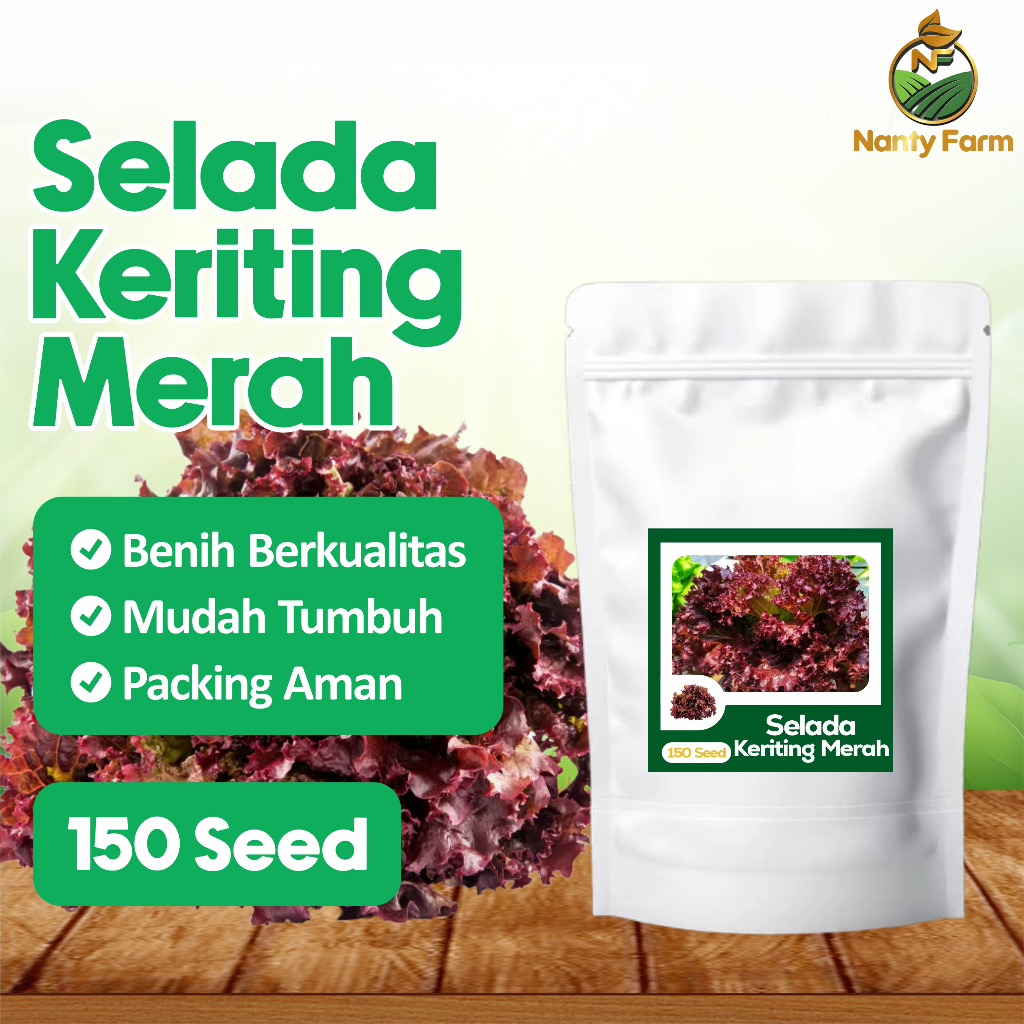 150 Benih Selada Merah - Biji Benih Sayur Selada Merah
