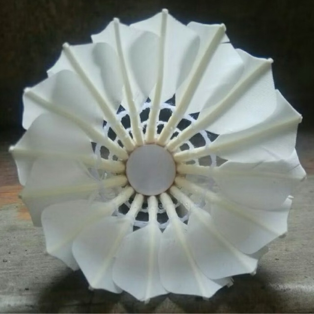 Shuttlecock polos grade B
