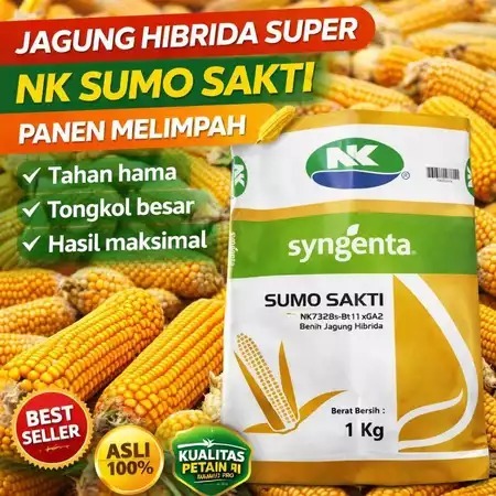 SUMO-SAKTI-BIBIT-JAGUNG-PREMIUM-1KG~BIBIT-UNGGUL-CEPAT-PANEN&TONGKOL-BESAR