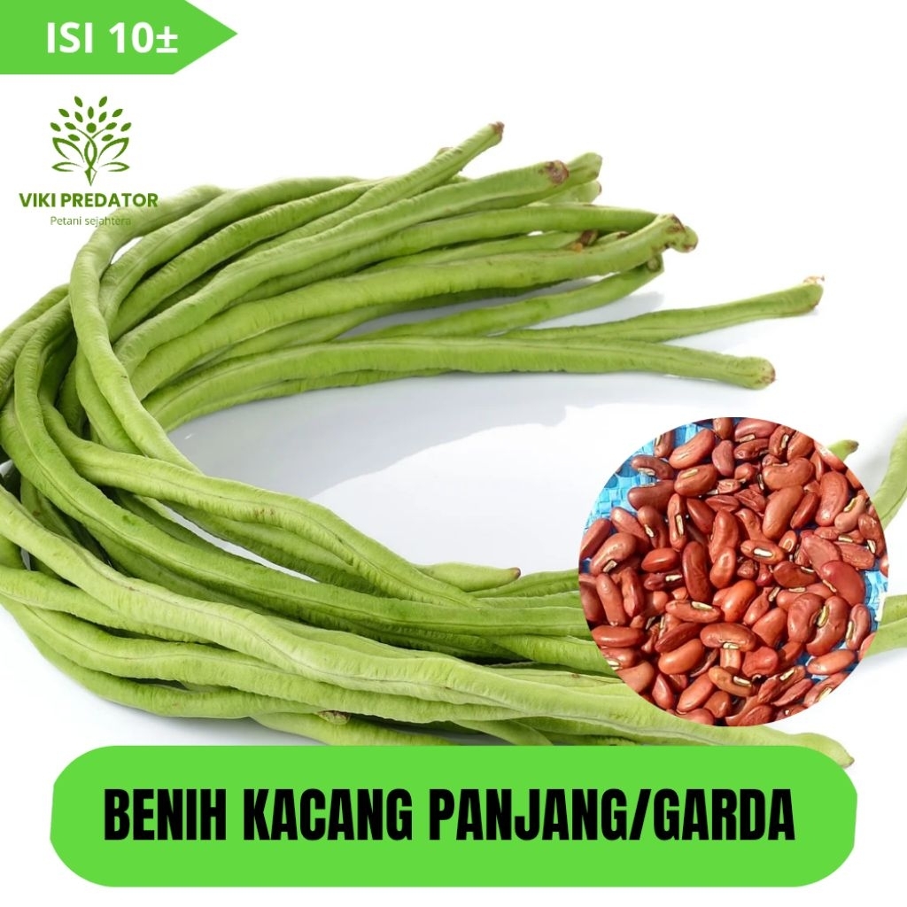BENIH KACANG PANJANG GARDA ISI 10 BIJI