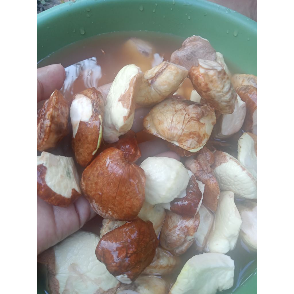 gayam kupas