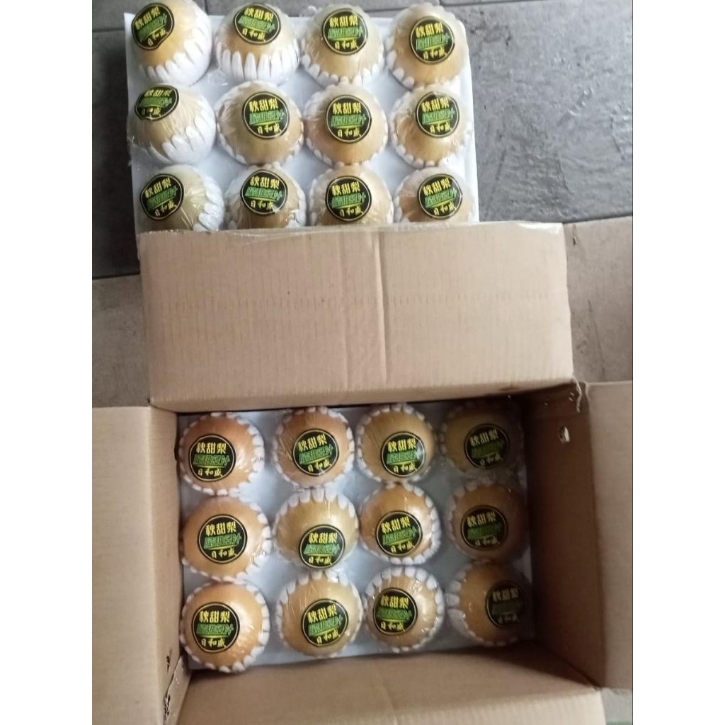 Indukbuah Buah Pear Singo Wangshan 1 Dus