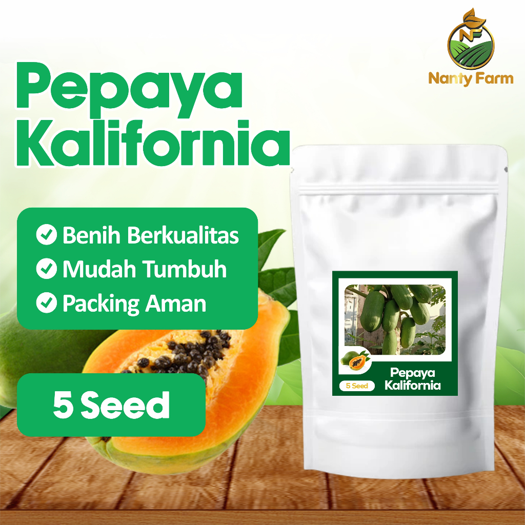 5 Biji Benih Pepaya California Buah Pepaya California Leoni Benih Buah Berkualitas