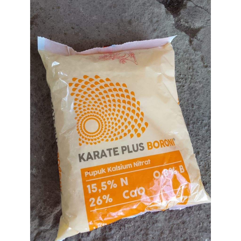 KARATE PLUS BORONI