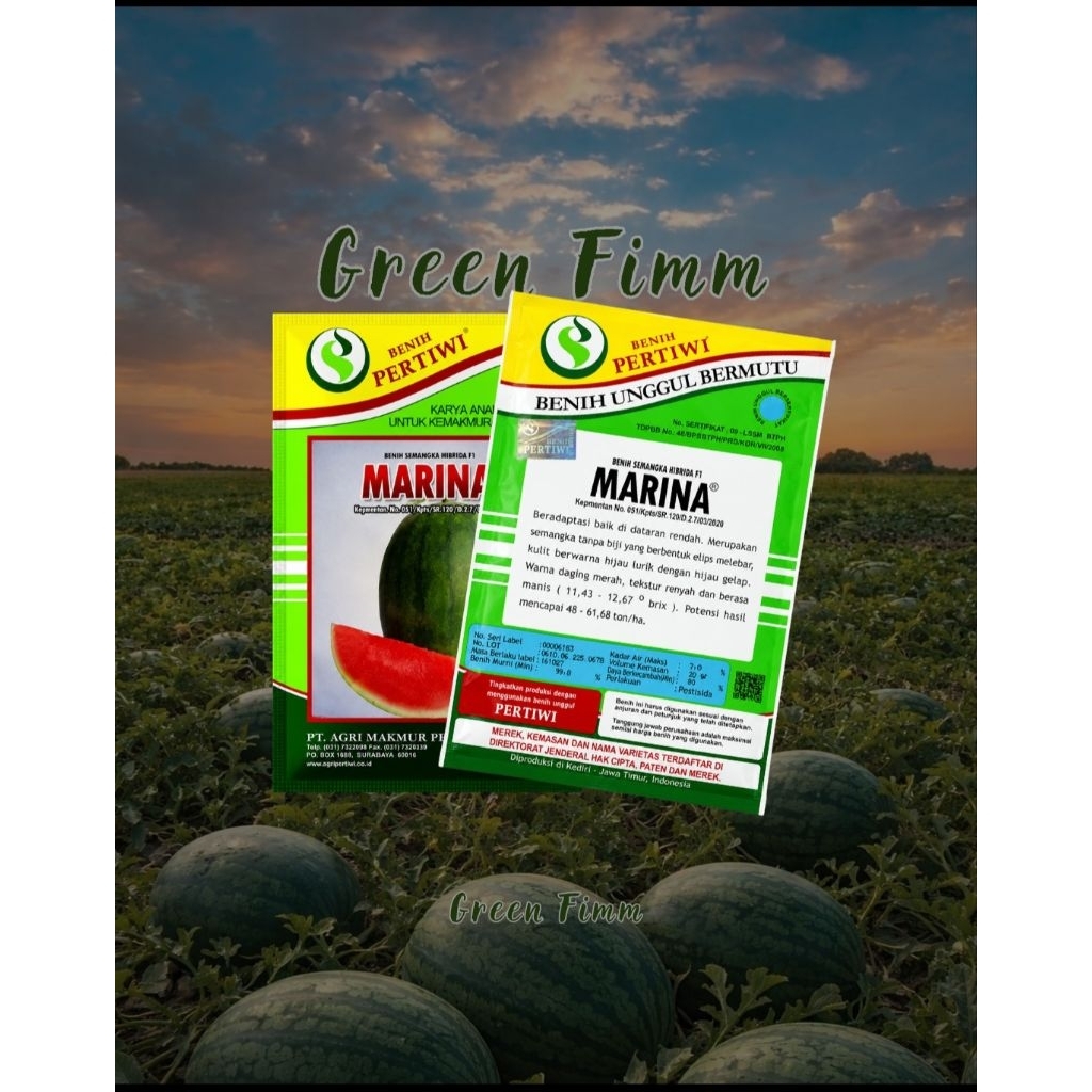 Benih Semangka MARINA F1 20 Gram Non Biji