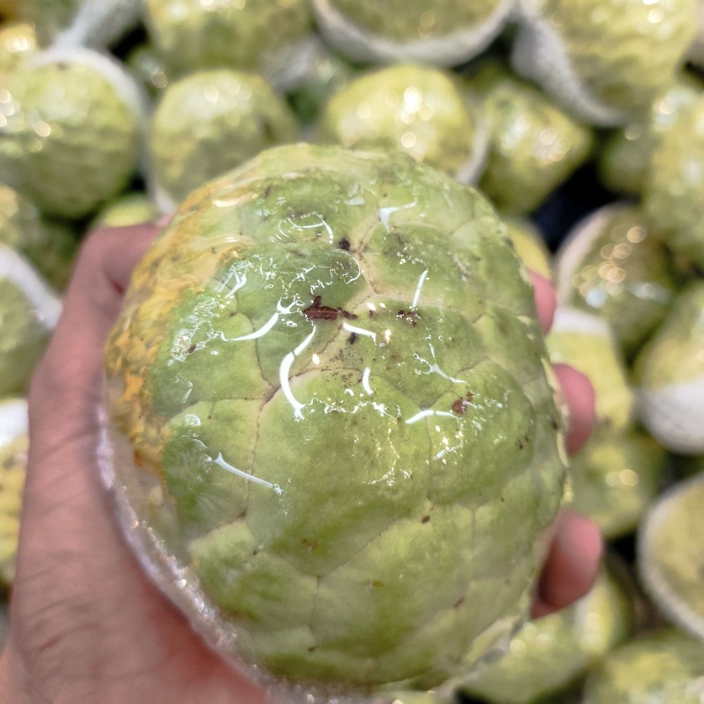 Srikaya super fresh buah lokal berkualitas 1kg