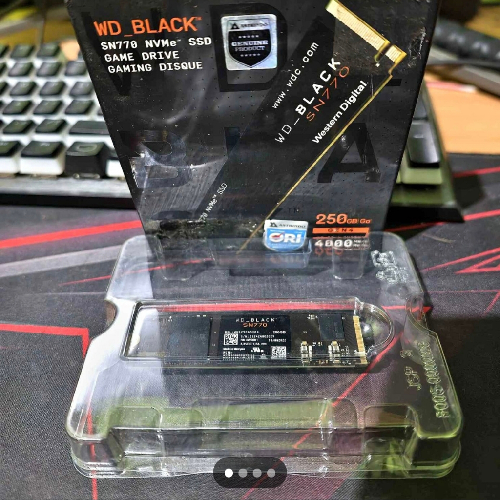 WD BLACK SN770 250GB NVME GEN4 GARANSI RESMI ON