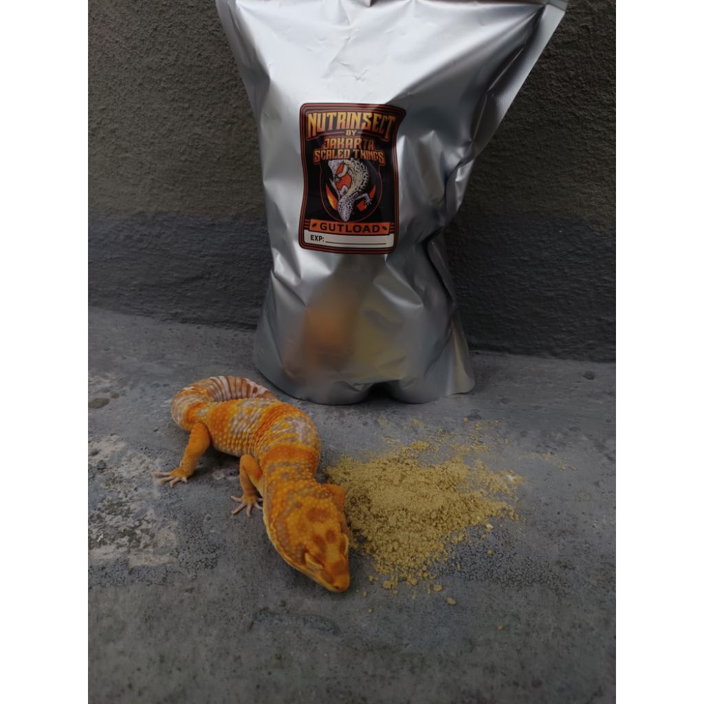 Nutrinsect gutload organik gecko - 500 gram