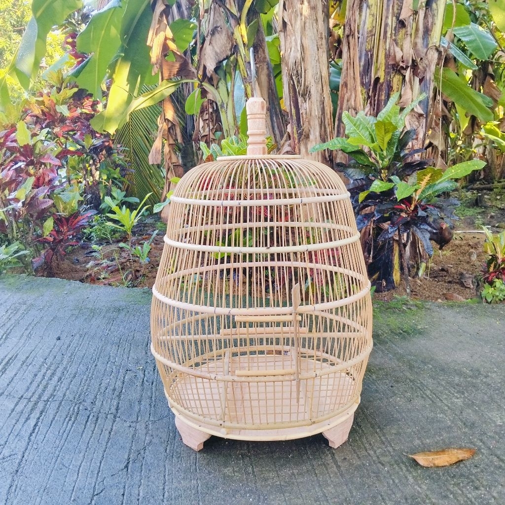 Sangkar Burung Perkutut Sabuk Rotan Model Jambu Ambrukan