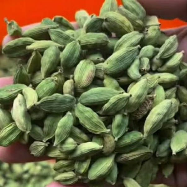 Kapulaga Hijau 1 kg Kapulaga India Kapulaga Arab Green Cardamon