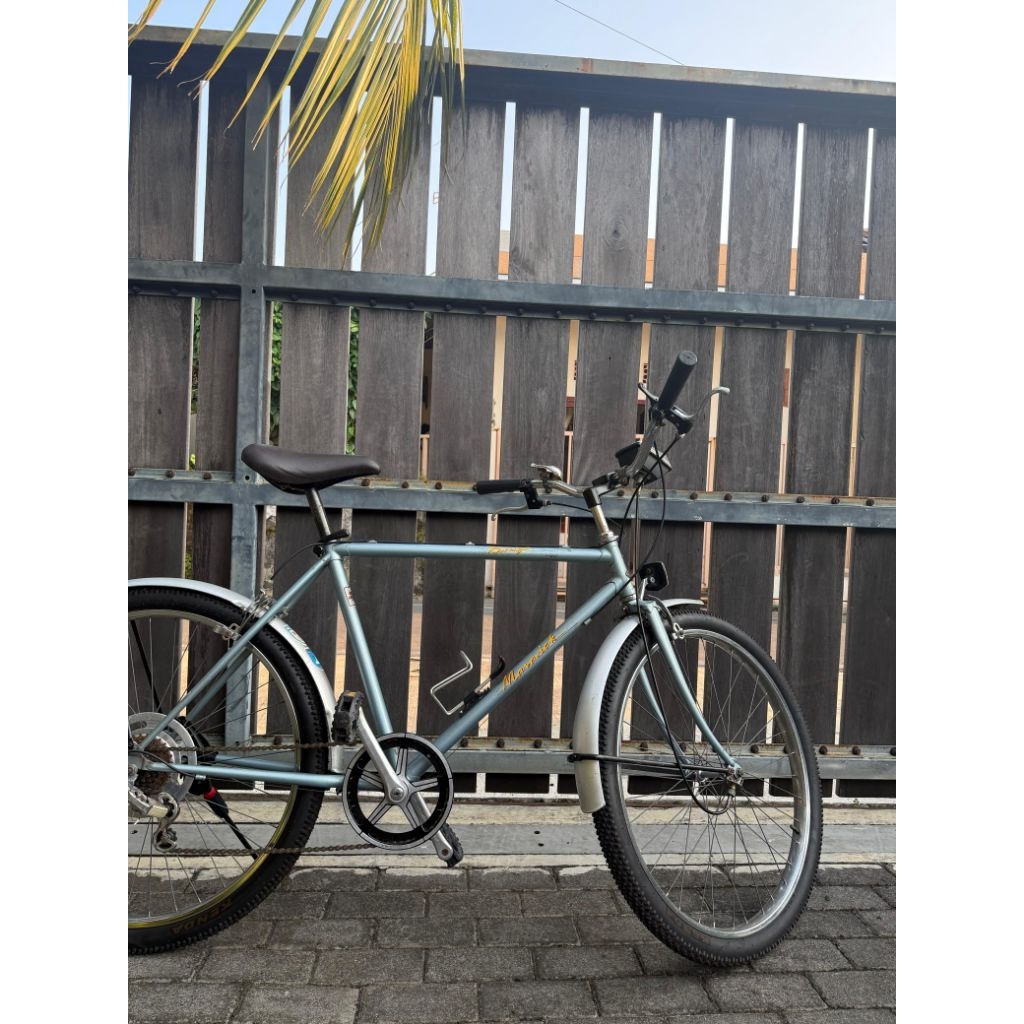 SEPEDA FEDERAL RALEIGH MAVERICK
