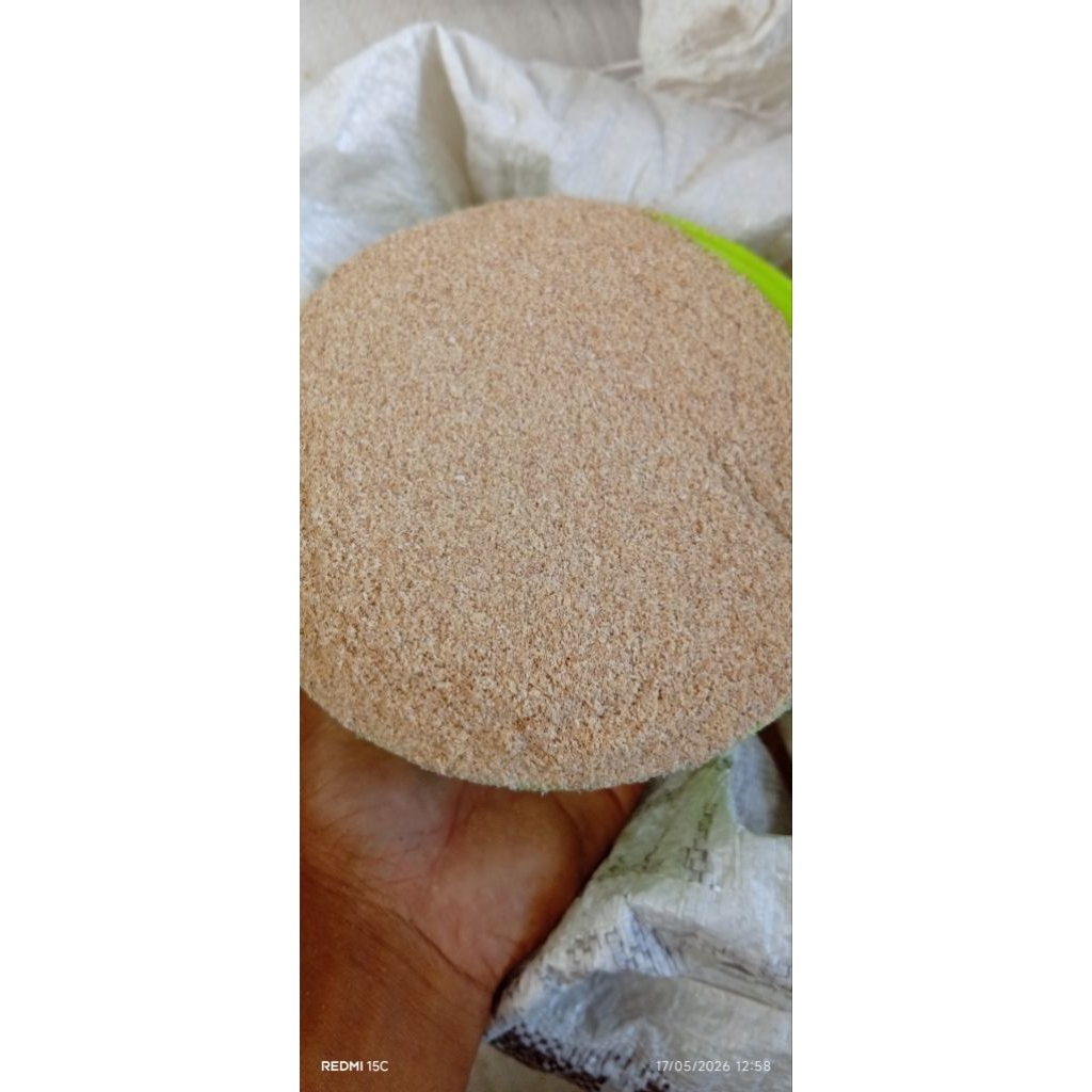 polar cap angsa