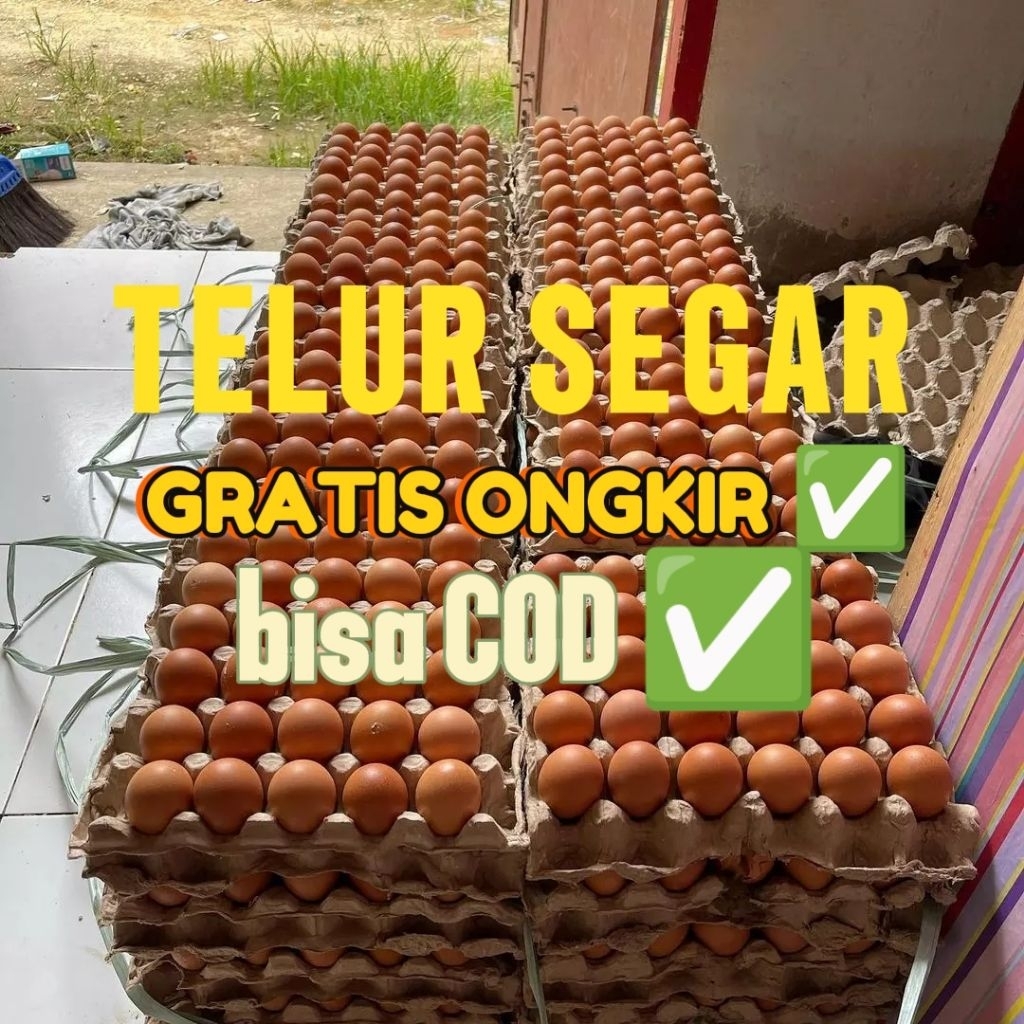Telur ayam 1kg Instan khusus Bandung