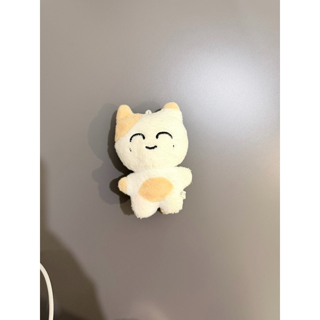 NCT JAEHYUN DOLL SOMTAM J CAT