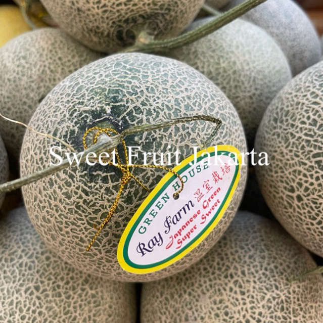 Melon Jepang Green House / Melon Jepang Manis Fresh / Pcs