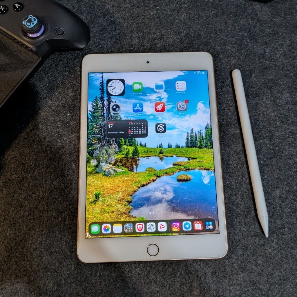 Ipad mini 5 256gb Second mulus