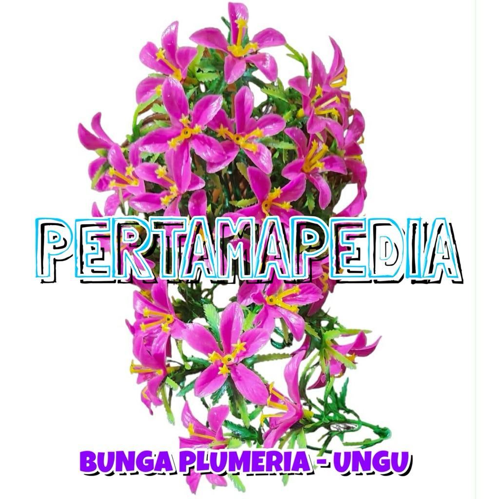 C5 JUNTAI BUNGA PLUMERIA KAMBOJA (TANPA BREKET)/ Juntai Bunga Plastik/ Juntai Bunga Rumput Plastik/ 