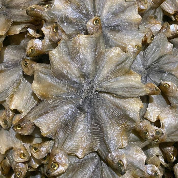 Ikan Sepat Asin Kering – Sepat Bintang Kepala