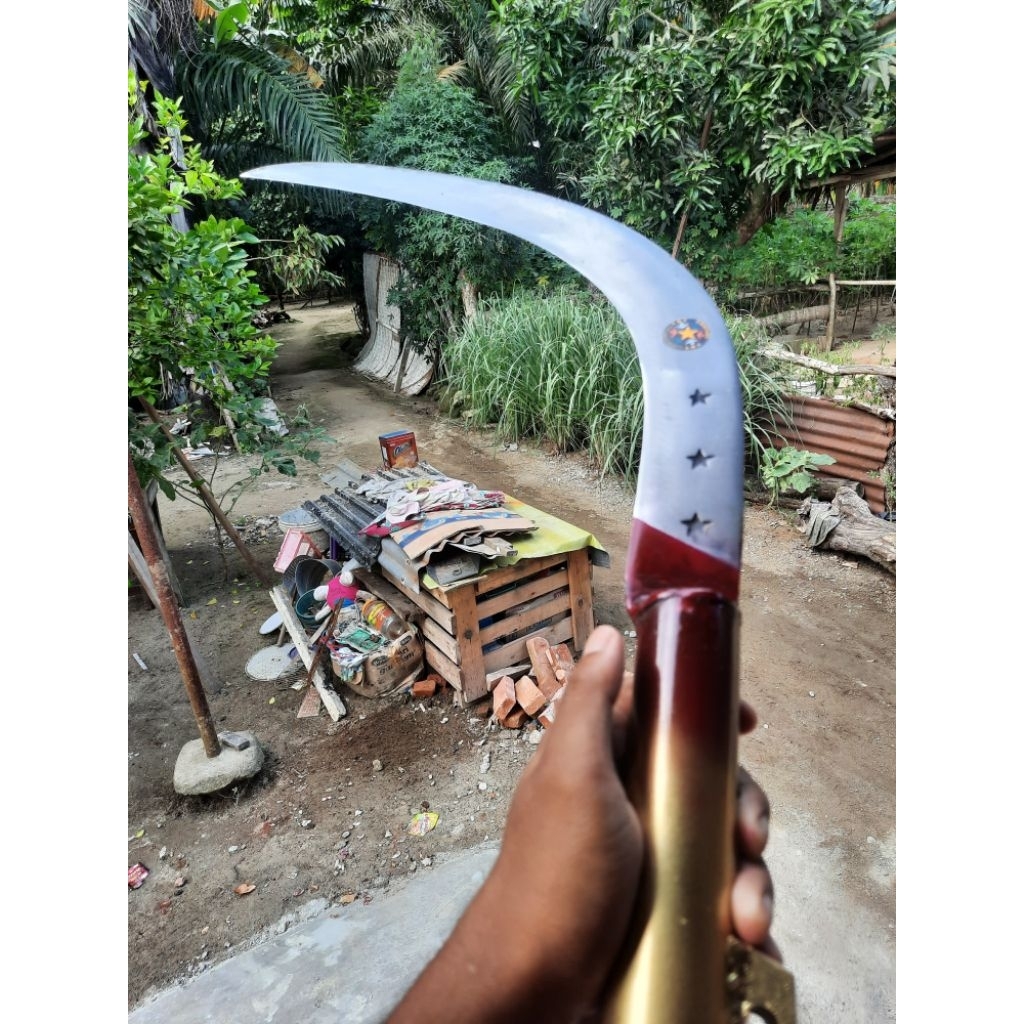 EGREK KOLONGAN BINTANG MEDAN