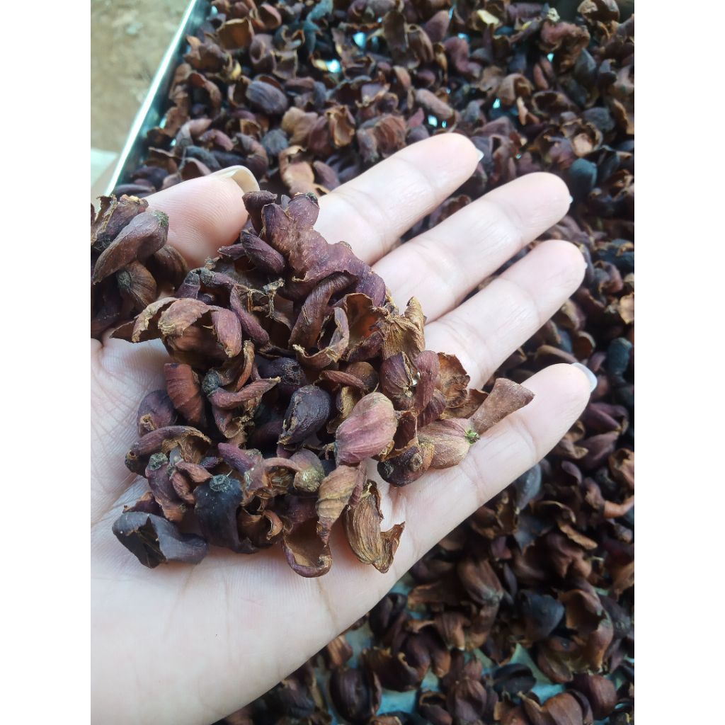 Kulit kopi kering 100 gr