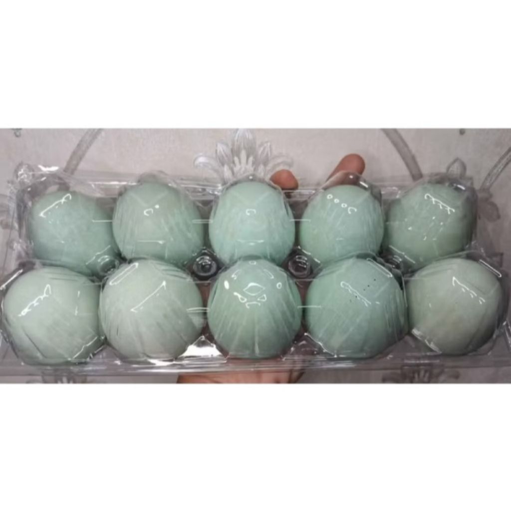 Telur bebek  omega