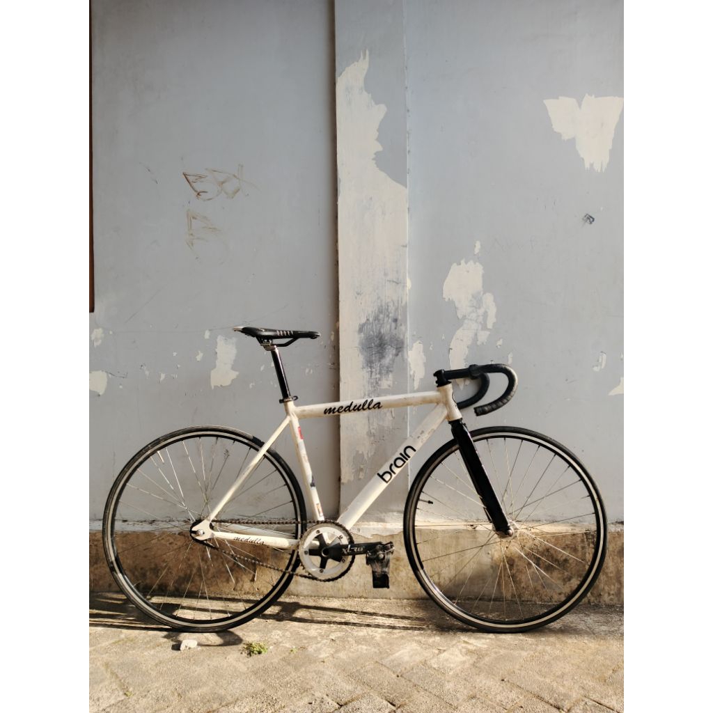 fullbike fixie brain medulla