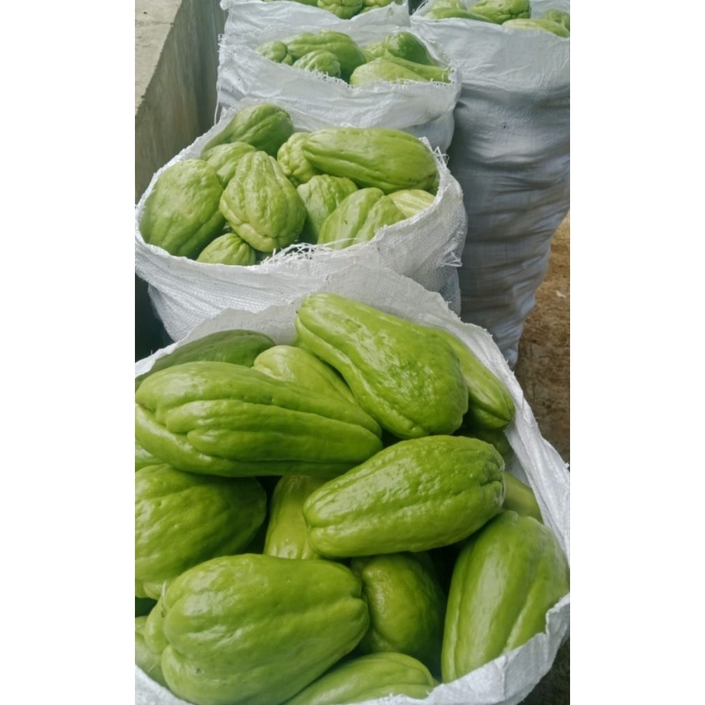 Labu Siam/Labu Jipang 1kg