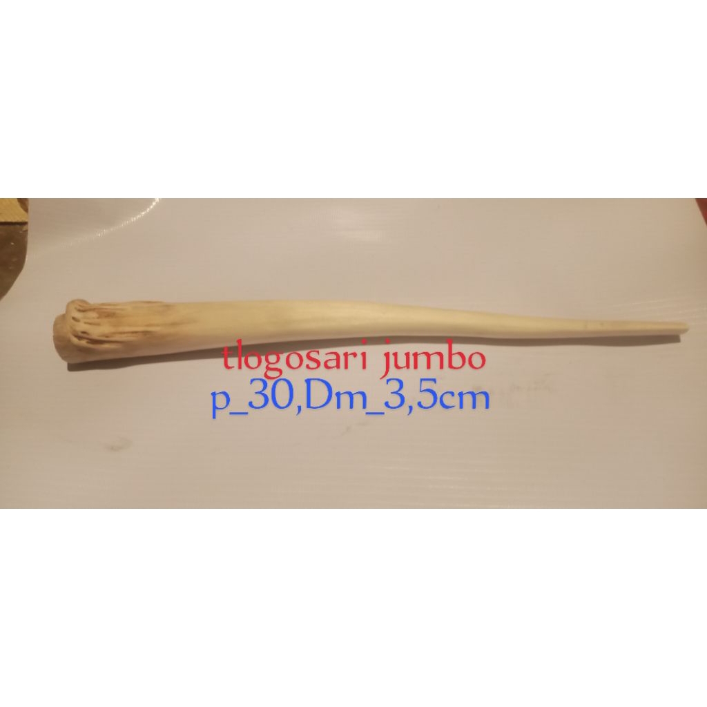 piva once tlogosari jumbo panjang