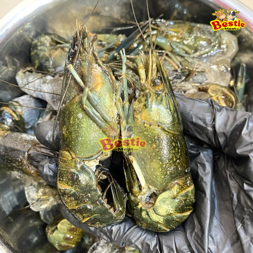 Udang Lobster Laut 250g