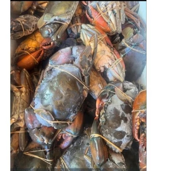 KEPITING BAKAU 1KG ISI 3