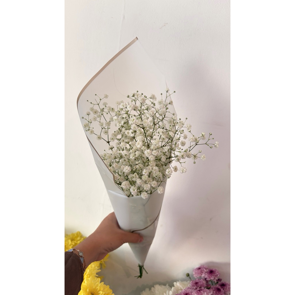 Bunga Baby Breath Segar 1 Tangkai - Warna Natural, Bunga Potong Segar untuk Dekorasi