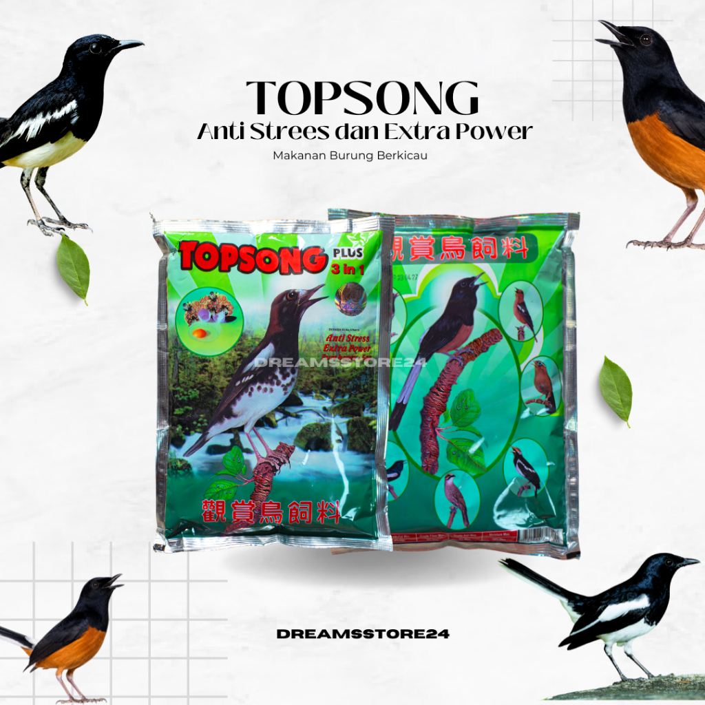 TOPSONG 3 IN 1 Coklat Voer Burung Premium Pakan Murai Batu Kacer Cendet Anis Cucak Ijo Trucuk