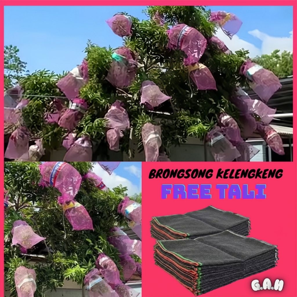 Brongsong Kelengkeng Pembungkus Kelengkeng Karung Kelengkeng Pembungkus Buah Gronjong Jaring Waring
