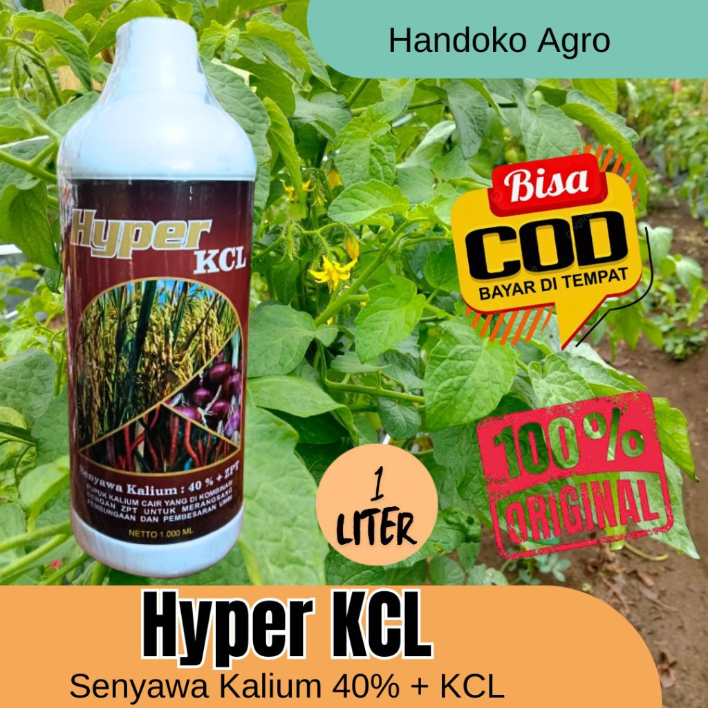 [COD] Hyper KCL || KCL cair 40% + zpt || 1liter