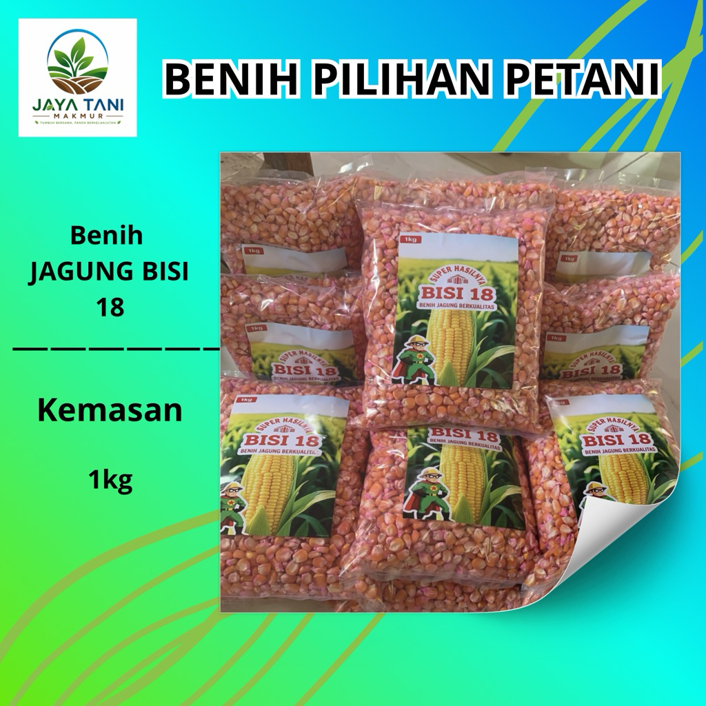 Benih biji jagung BISI 18 super 1kg siap tanam