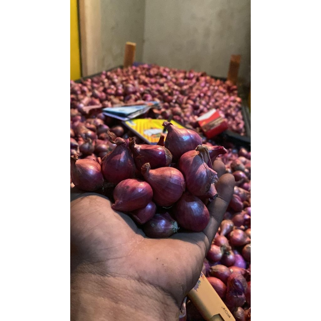 Bawang Merah 1kilo