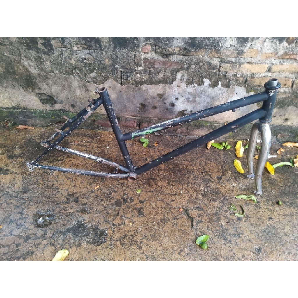 Frame Fork Federal lady Pussy Cat ss Commuter bike 26